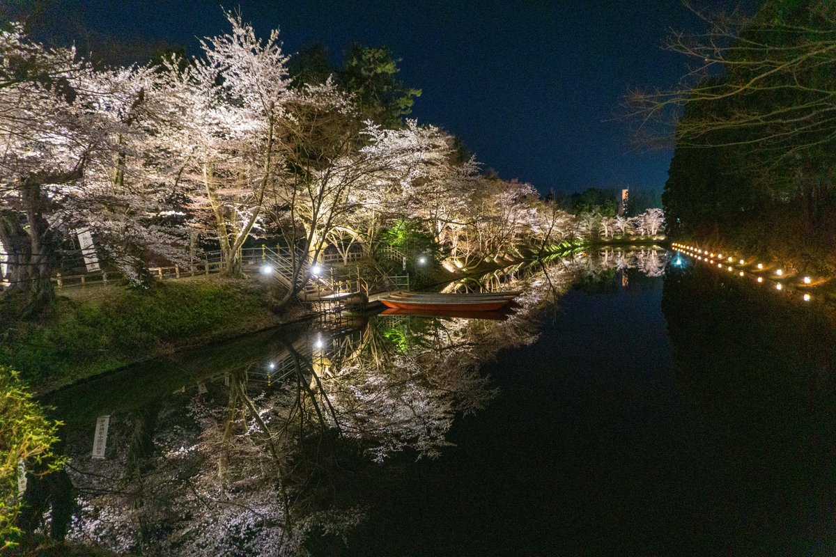 弘前公園 tweet media