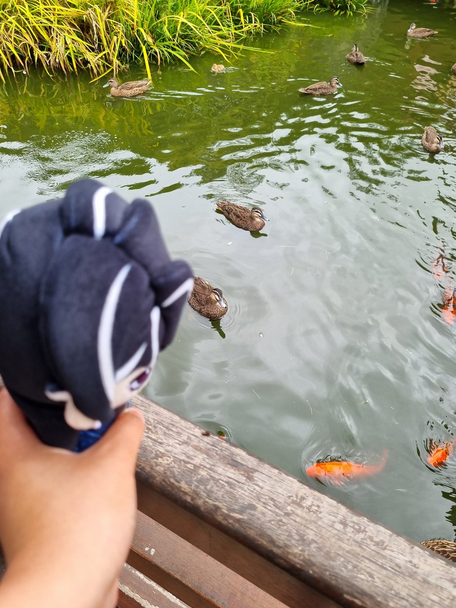 5012's husband tweet media