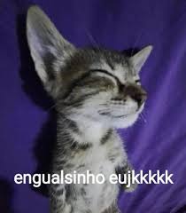 Enzo tweet media
