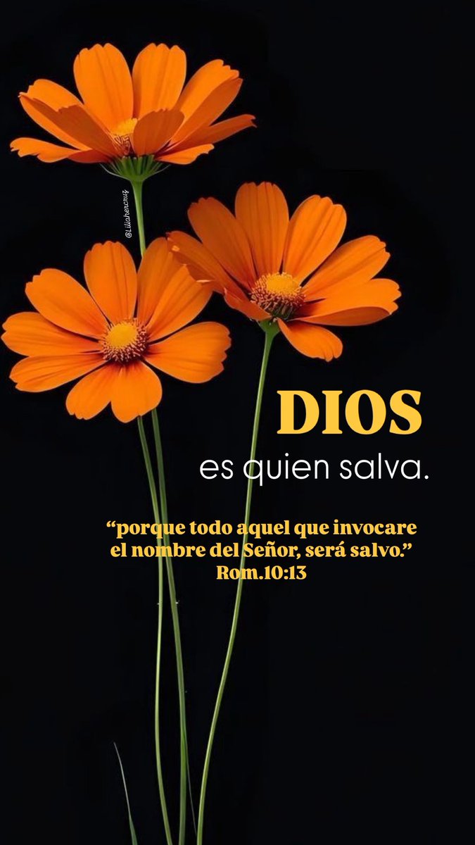 Hoy_Aprendi_En's tweet image. #Dios salva.