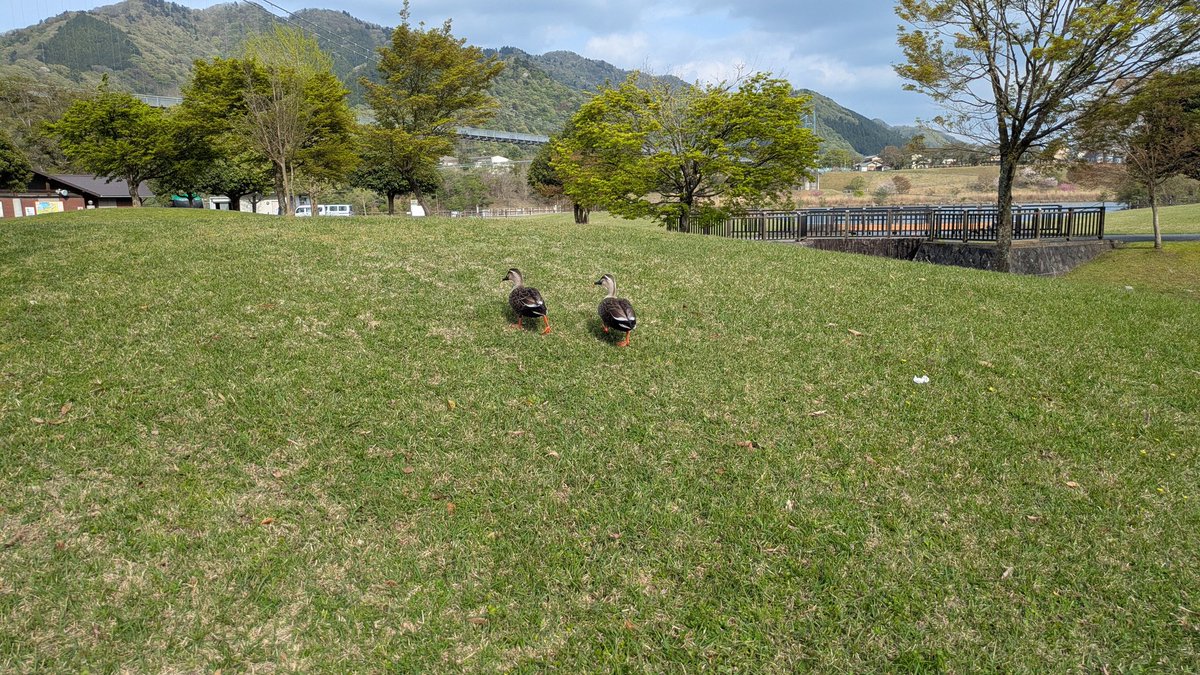 ぶったく tweet media