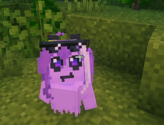 Theo 🏳️⚧️ | #MIRANDY JURIDICO tweet media