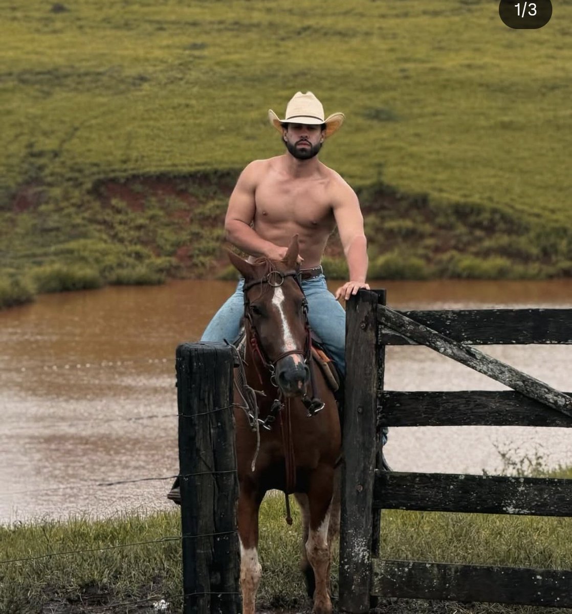 denguisis tweet media