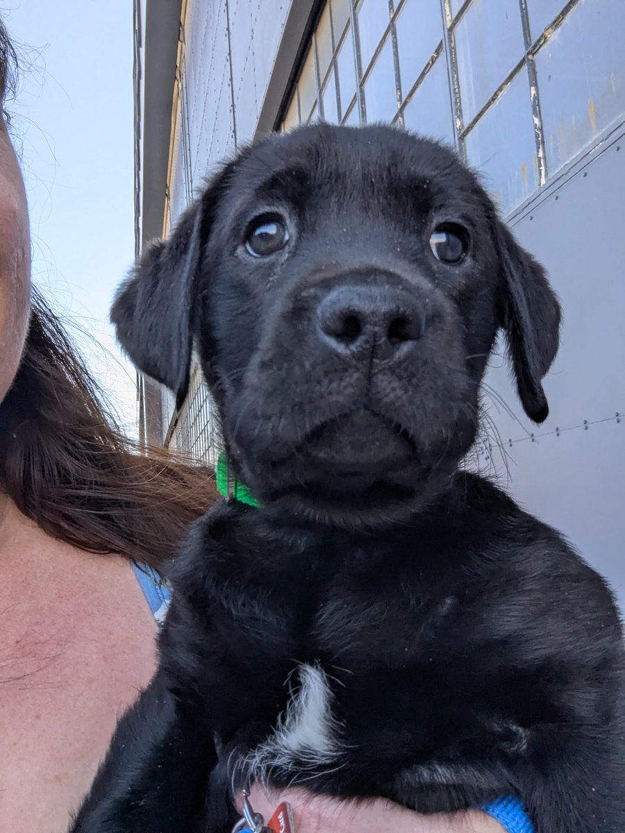 Kylie Kirkpatrick MS, BA, AA ASL Terp/Clinician tweet media