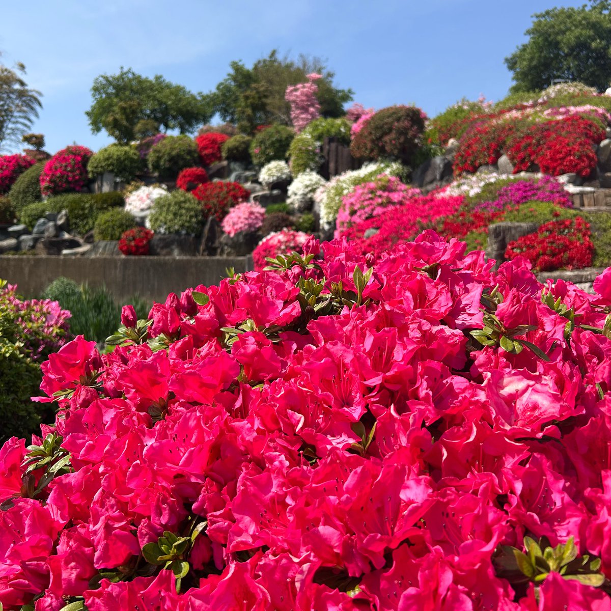 株式会社 アスティ【公式】 tweet media