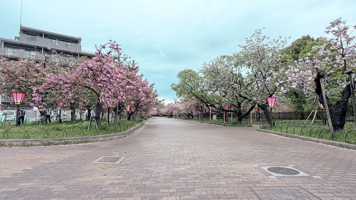 ジャッキー（じゃるる編集長） tweet media