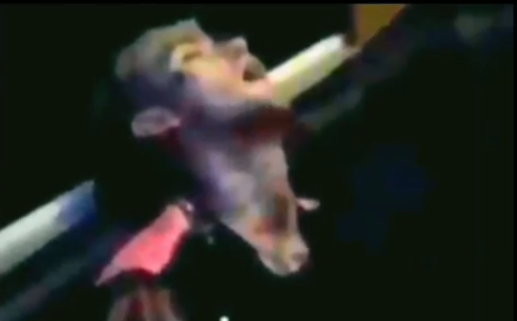 KEQUE🫘🆙 tweet media