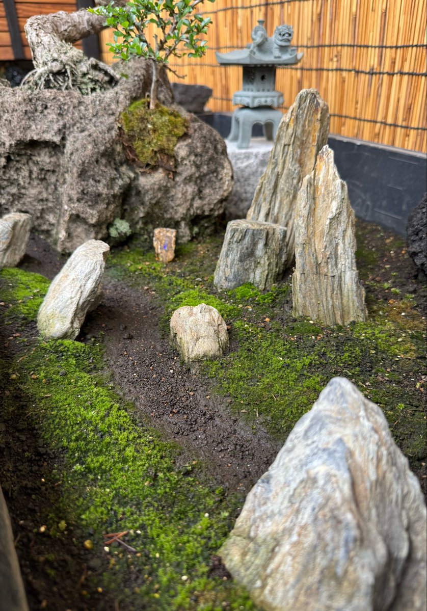 Second Life CBD tweet media