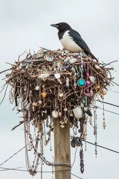 Agatha Chocolats tweet media