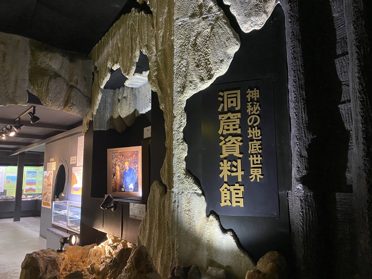 恐竜化石探訪 tweet media