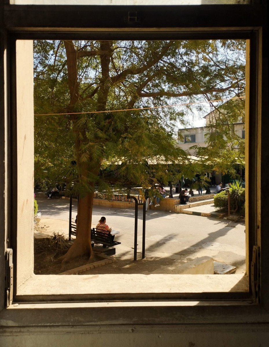 Omar280X tweet media