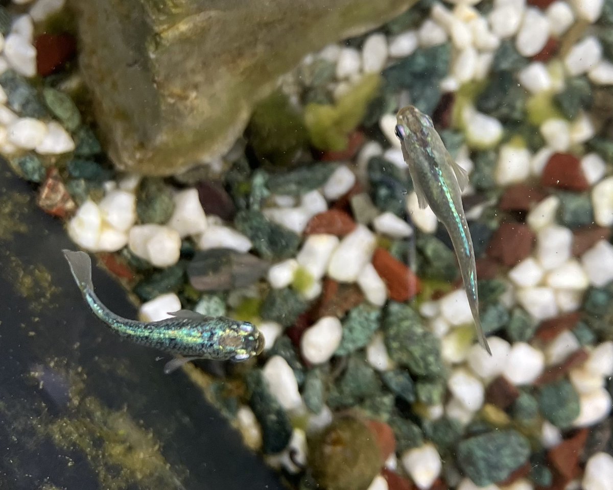 あさせ｜オルカン放置で3000万円 tweet media