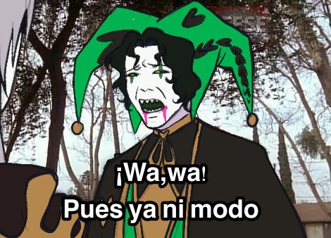 Ñomoide✨️🐿 tweet media