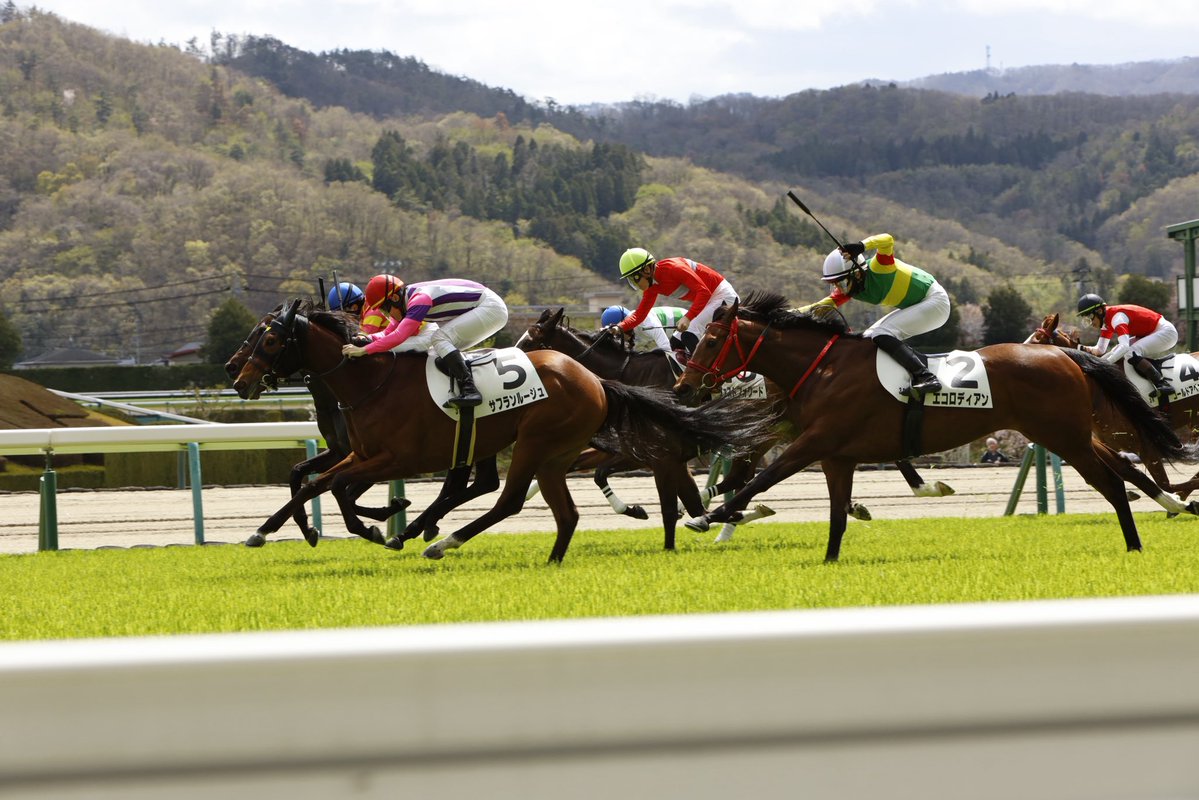 ushiropotun_223's tweet image. #競馬写真
#CanonEOSR