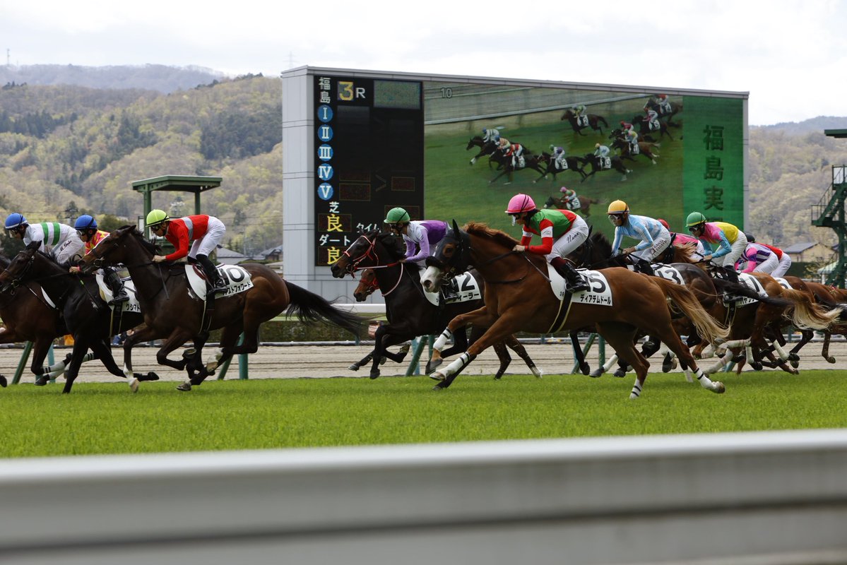 ushiropotun_223's tweet image. #競馬写真
#CanonEOSR