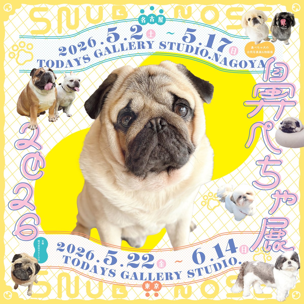 TODAYS GALLERY STUDIO.公式(TOKYO & NAGOYA) tweet media