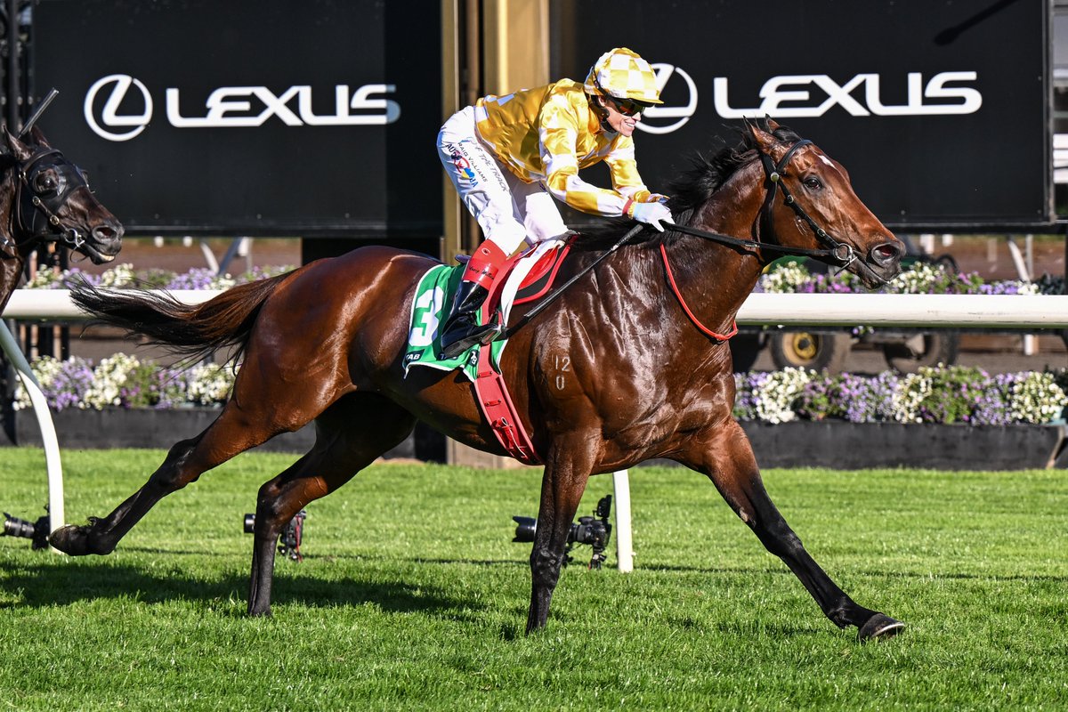 Ladbrokes Cox Plate tweet media