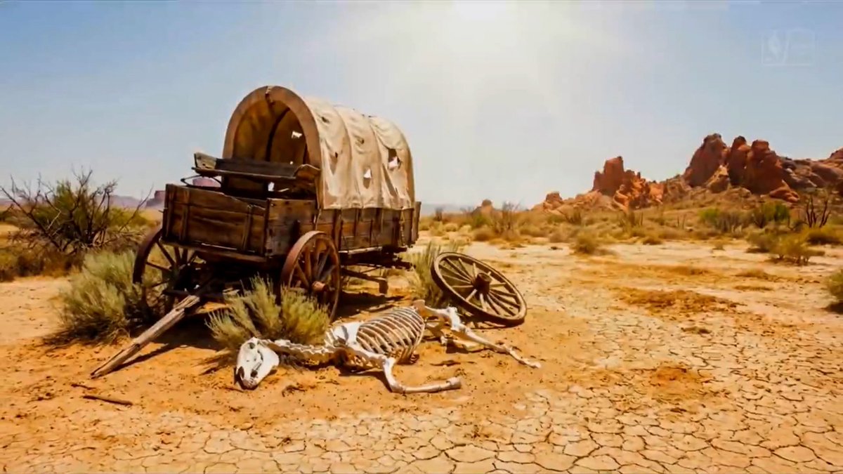 Michael Walchalk tweet media