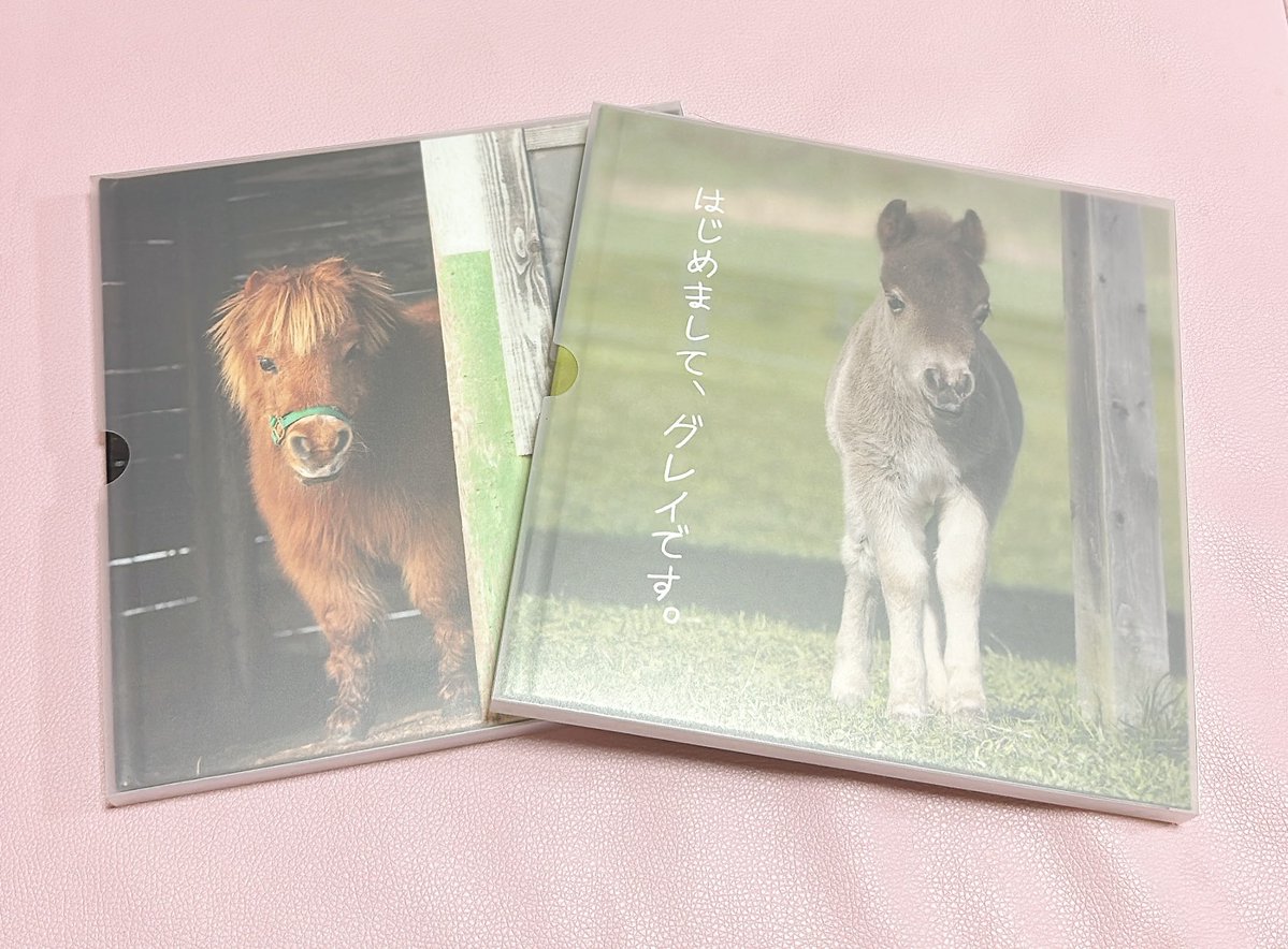 マイケル tweet media