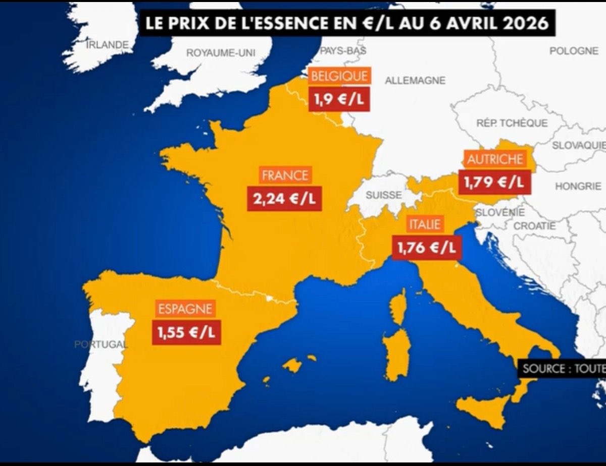 Le Goldenretriever tweet media