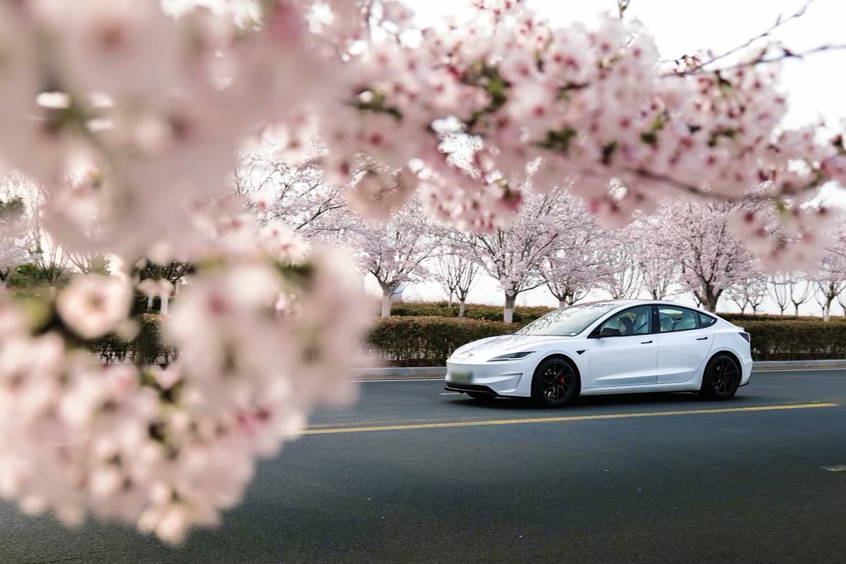 Tesla Asia tweet media