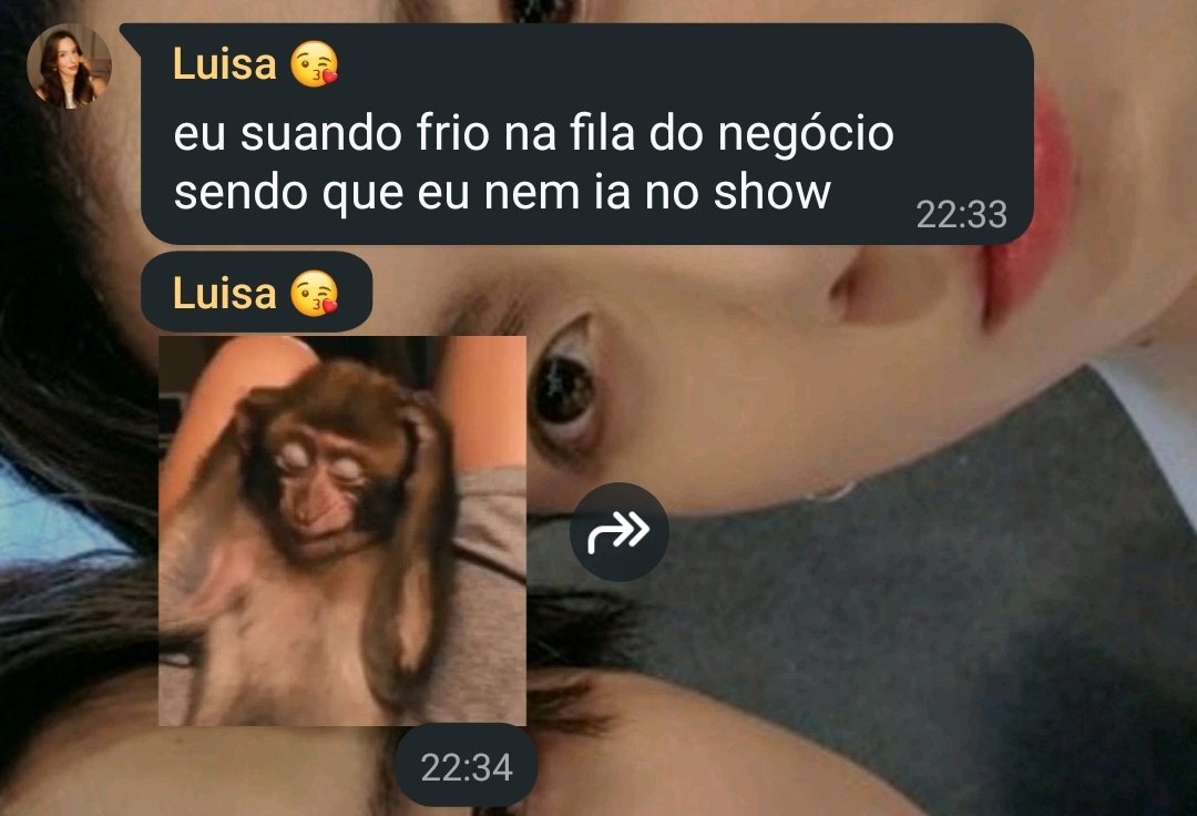 flavinha tweet media