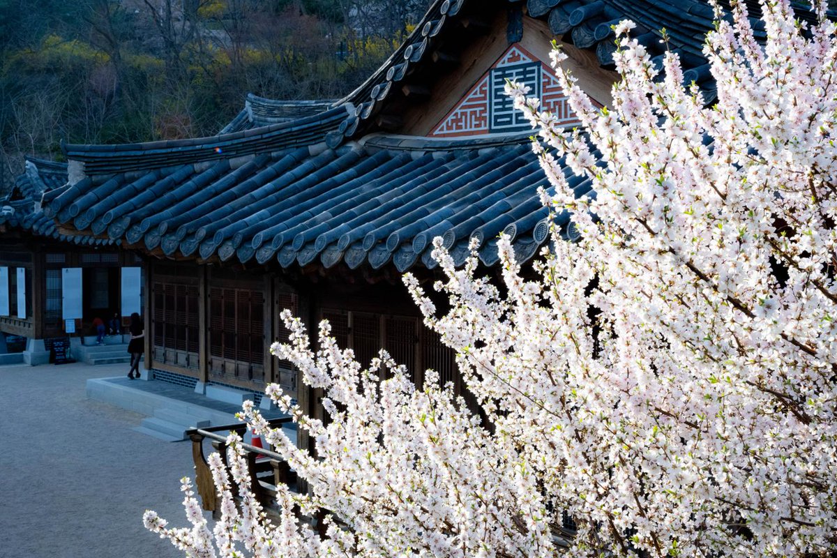 hankookilbo's tweet image. 놀러 가기 무서운 고물가·유가…하루 종일 0원으로 즐기는 무지출 여행
hankookilbo.com/news/article/A…
#요즘여행 #서촌 #홍건익 #가옥 #한옥 #문화공간 #고물가 #고유가 #밥집 #거지맵 #무지출