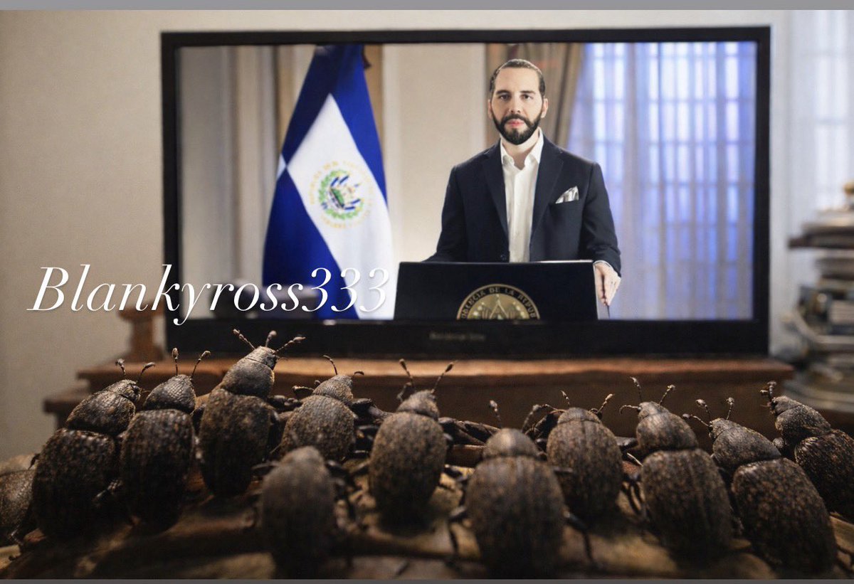 Blankyross 333🇸🇻🙏🏻🌸 tweet media