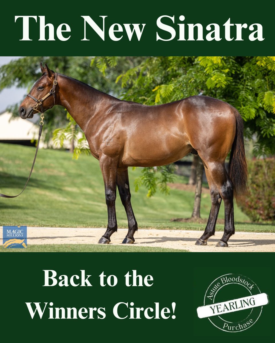Astute Bloodstock tweet media