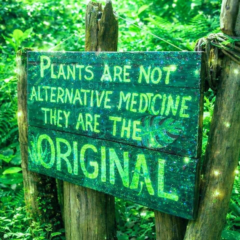 David Wolfe tweet media