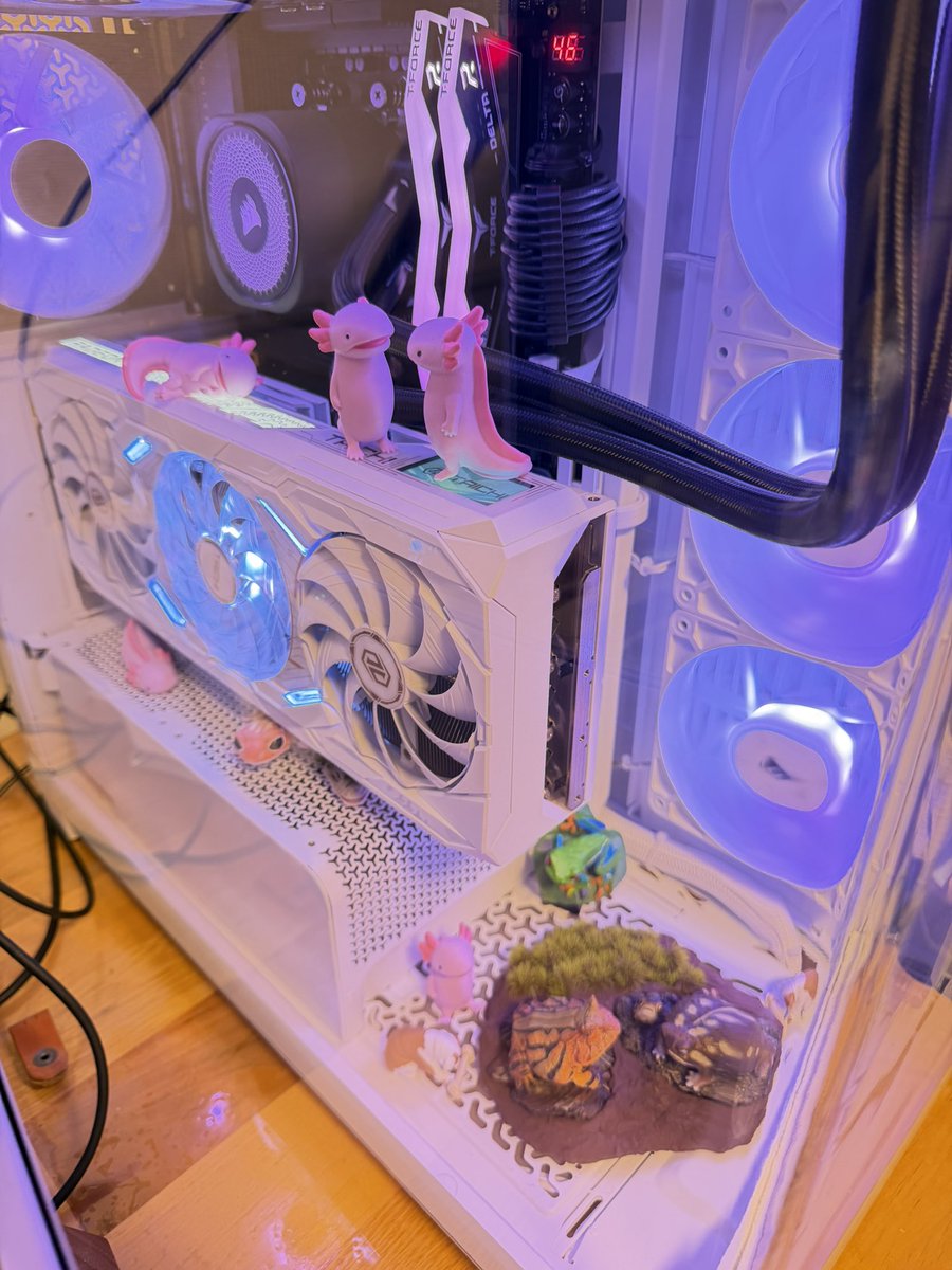 横須賀ふたば tweet media