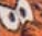 RSVLTS tweet media
