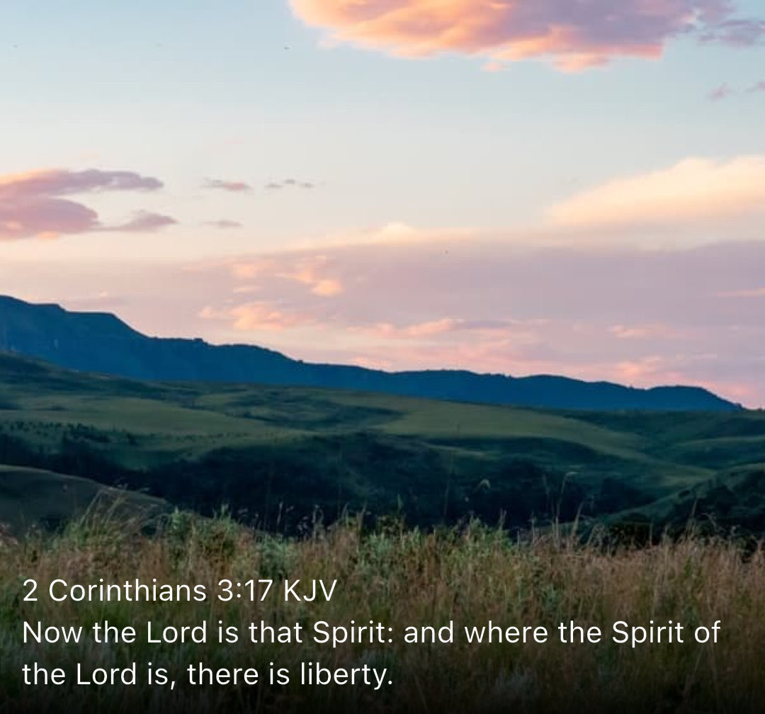 Josh Anderson tweet media