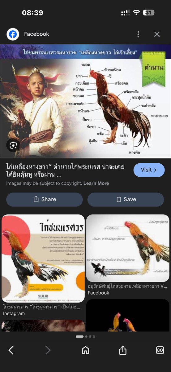 Timefast tweet media