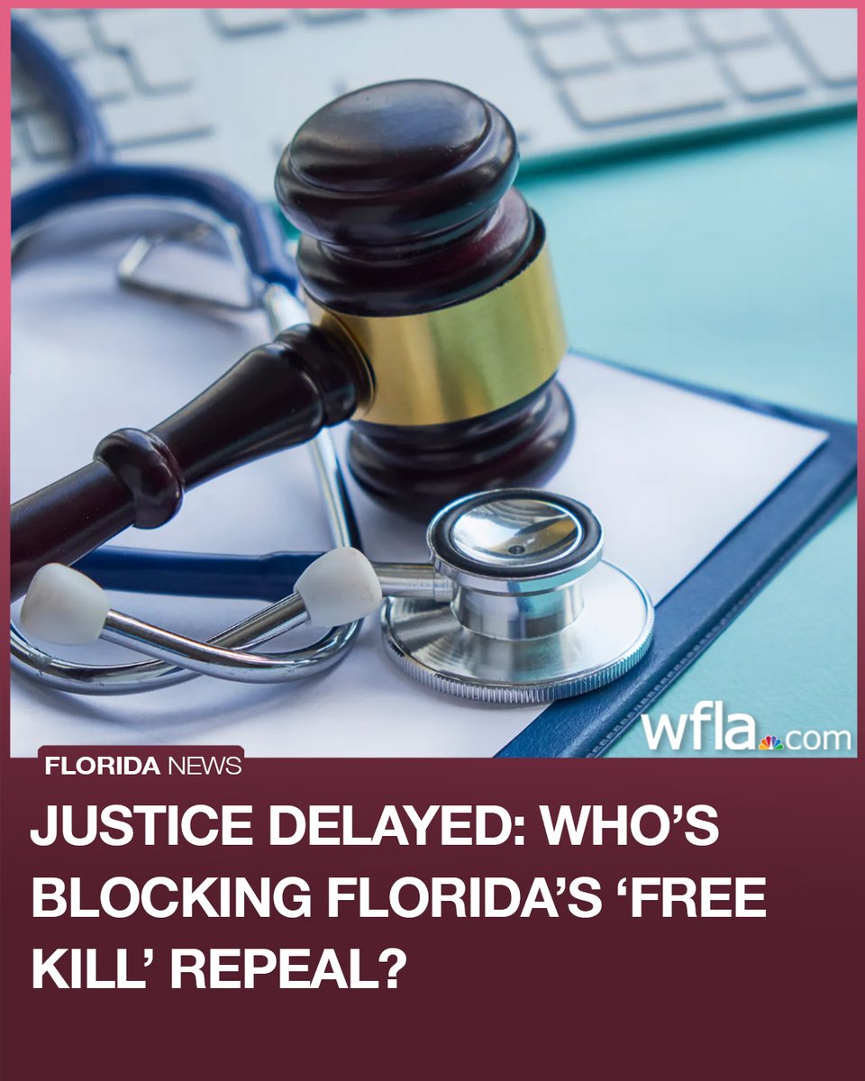 WFLA NEWS tweet media