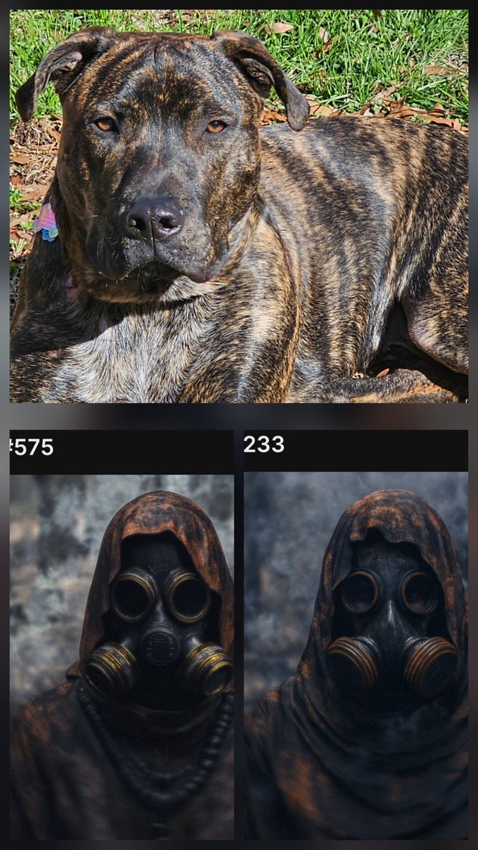 thatfunnyguyjesse tweet media