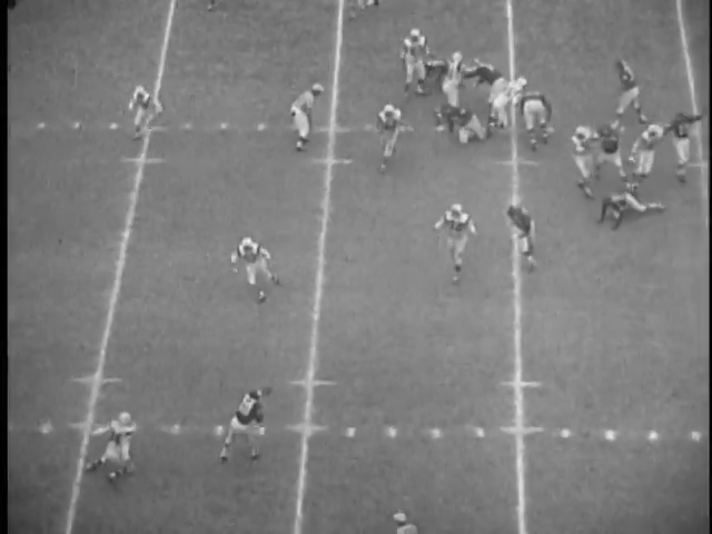 Collectosaurus tweet media