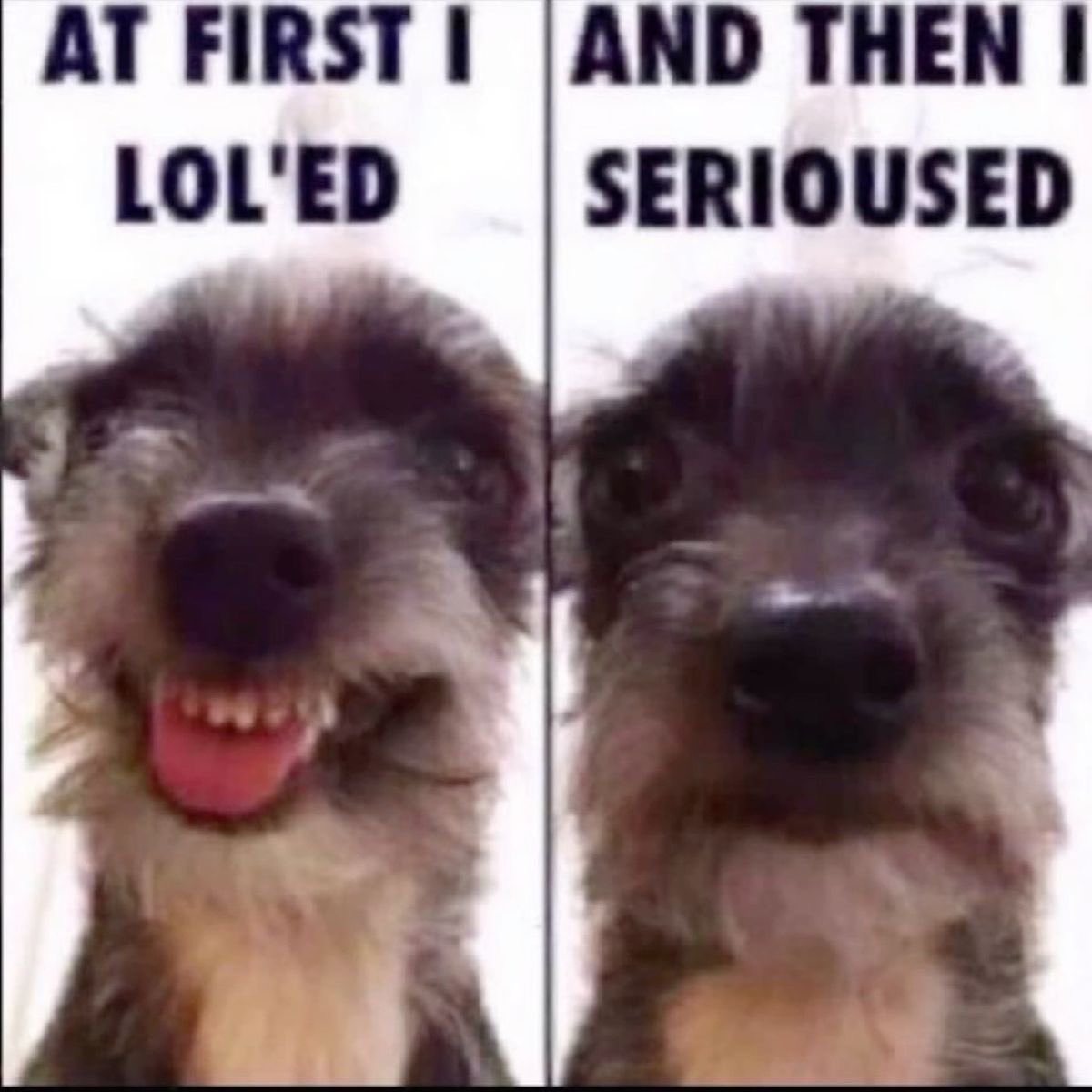 itty 🩻 tweet media