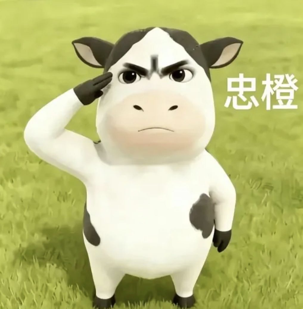 妞姐勇闯缅A冲冲冲 股市 财经 tweet media