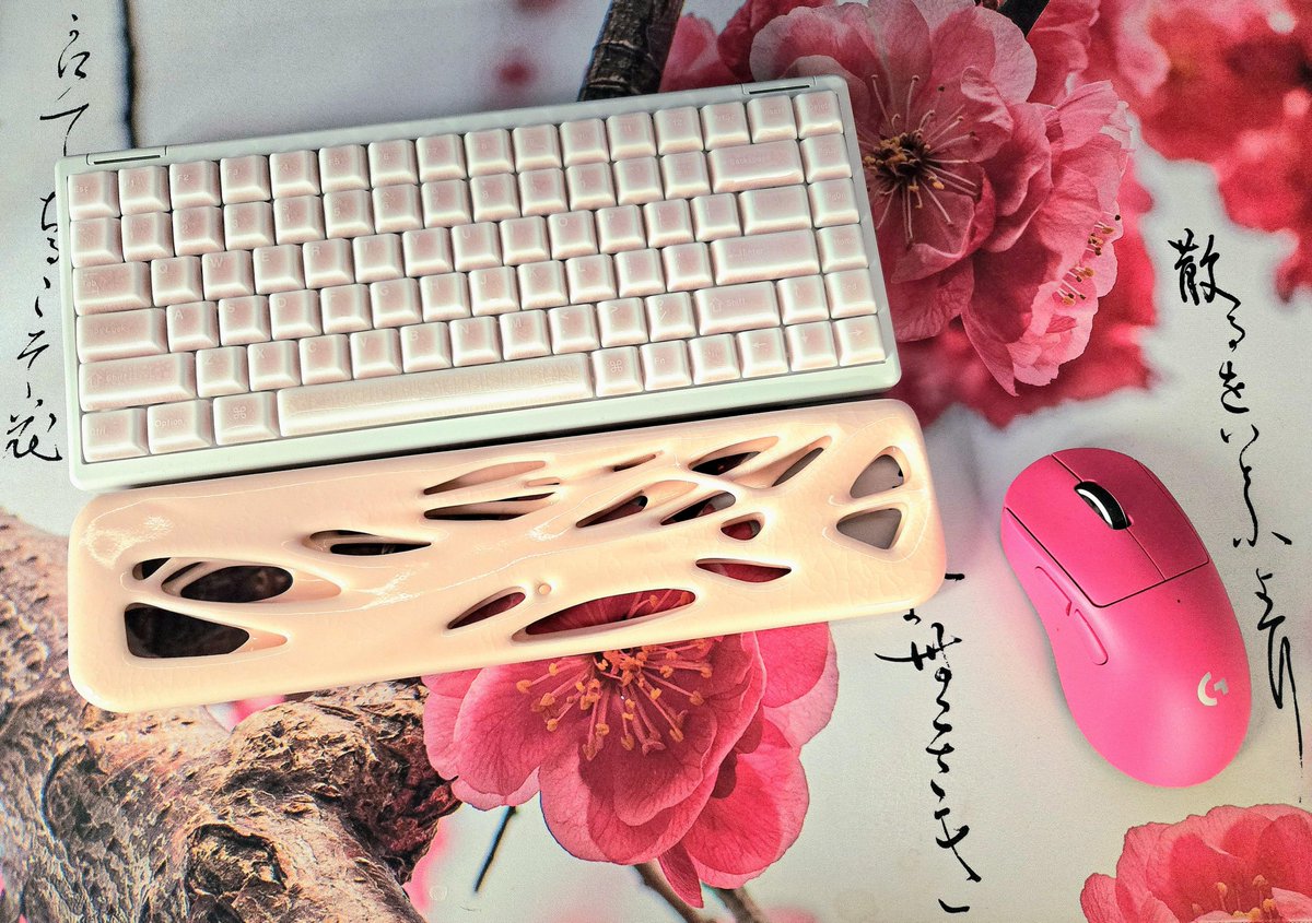 BabcockDen14611's tweet image. Ready for sakura season!
#Switches #Mahjong