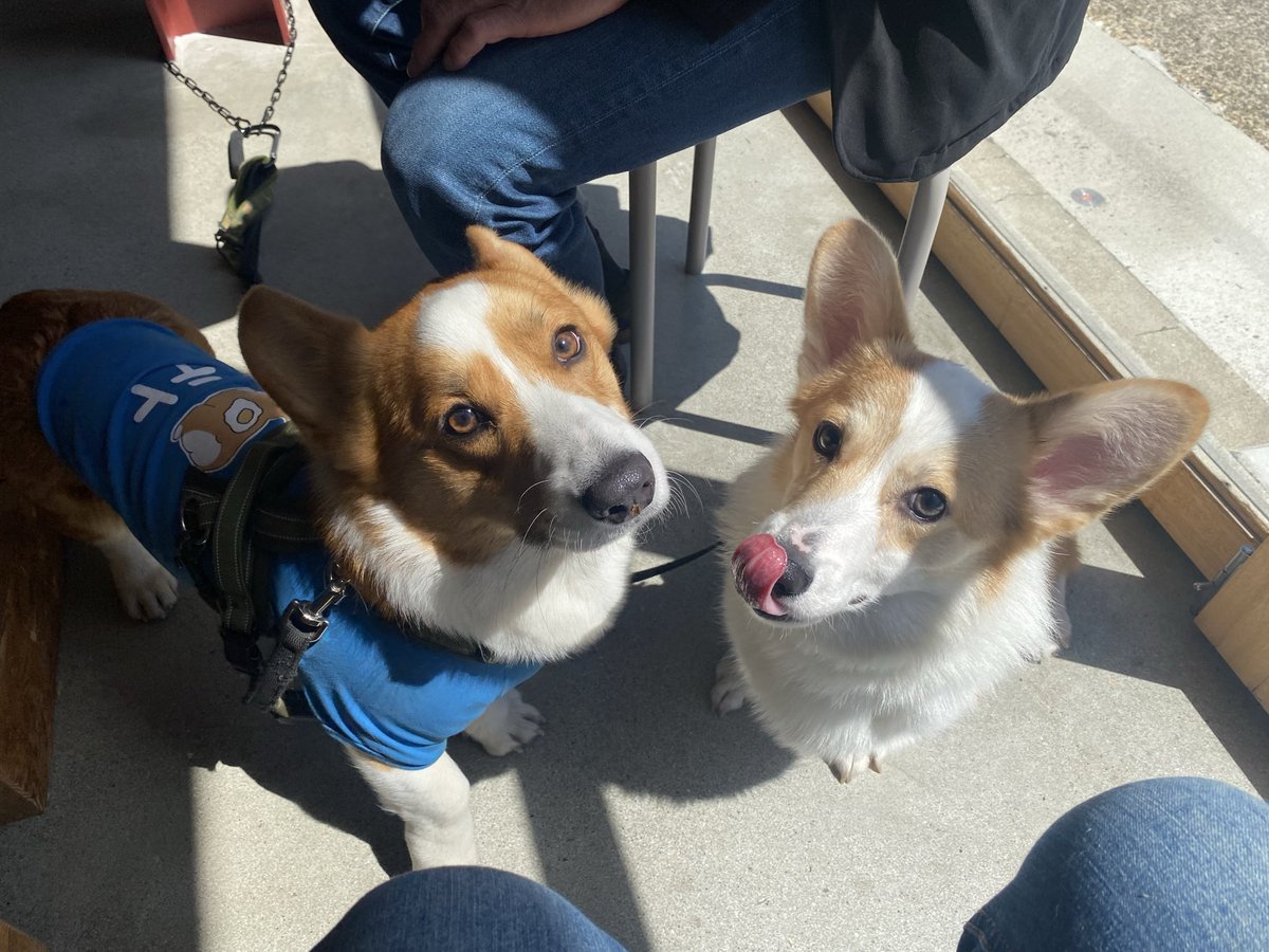 シロップ兄やんと二代目テト君 tweet media