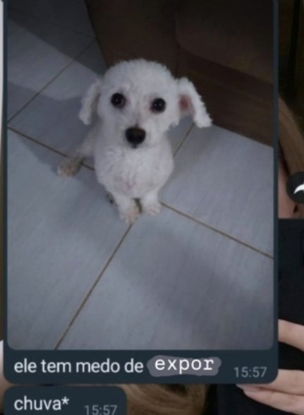 anateles ⋆ ✴︎˚｡⋆ tweet media