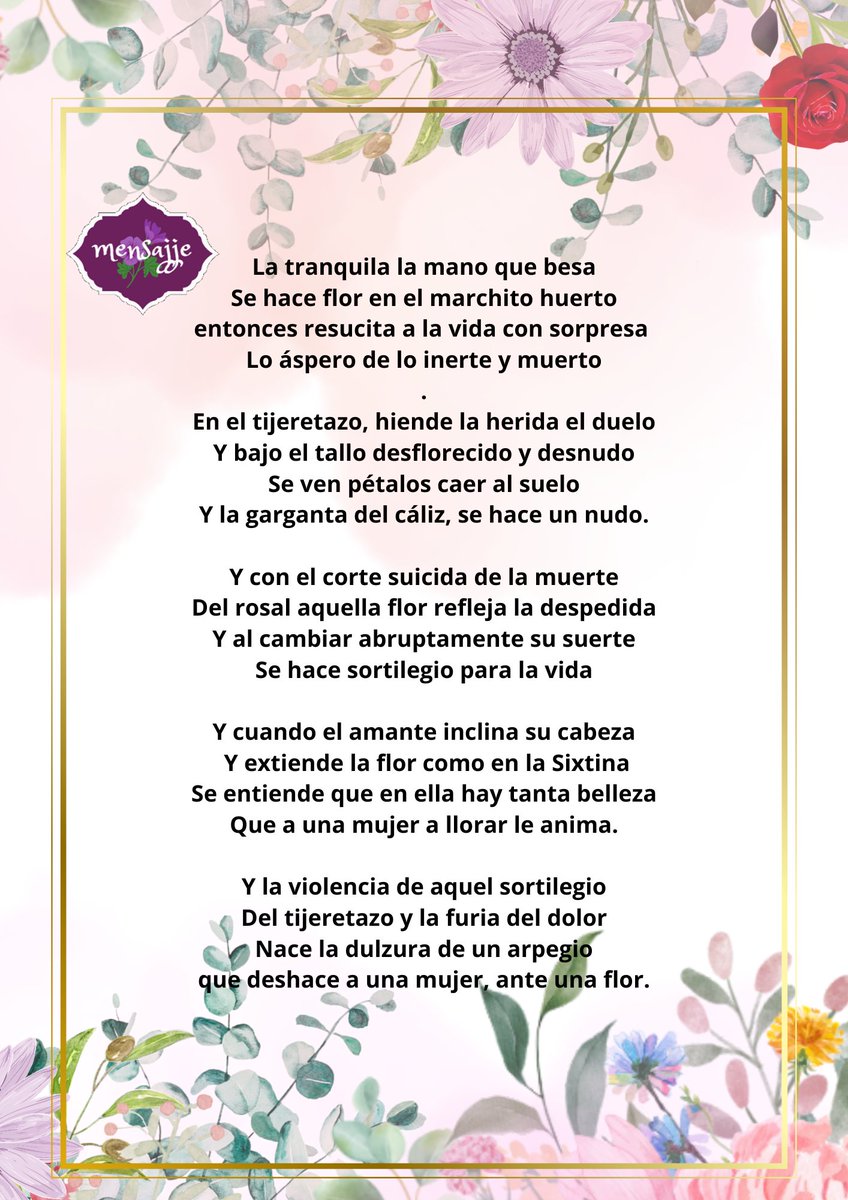 johnsajje's tweet photo. un recuerdo... https://t.co/8QnypJuIfu
