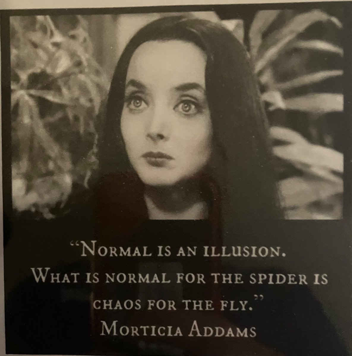 Ray-from Livermore tweet media