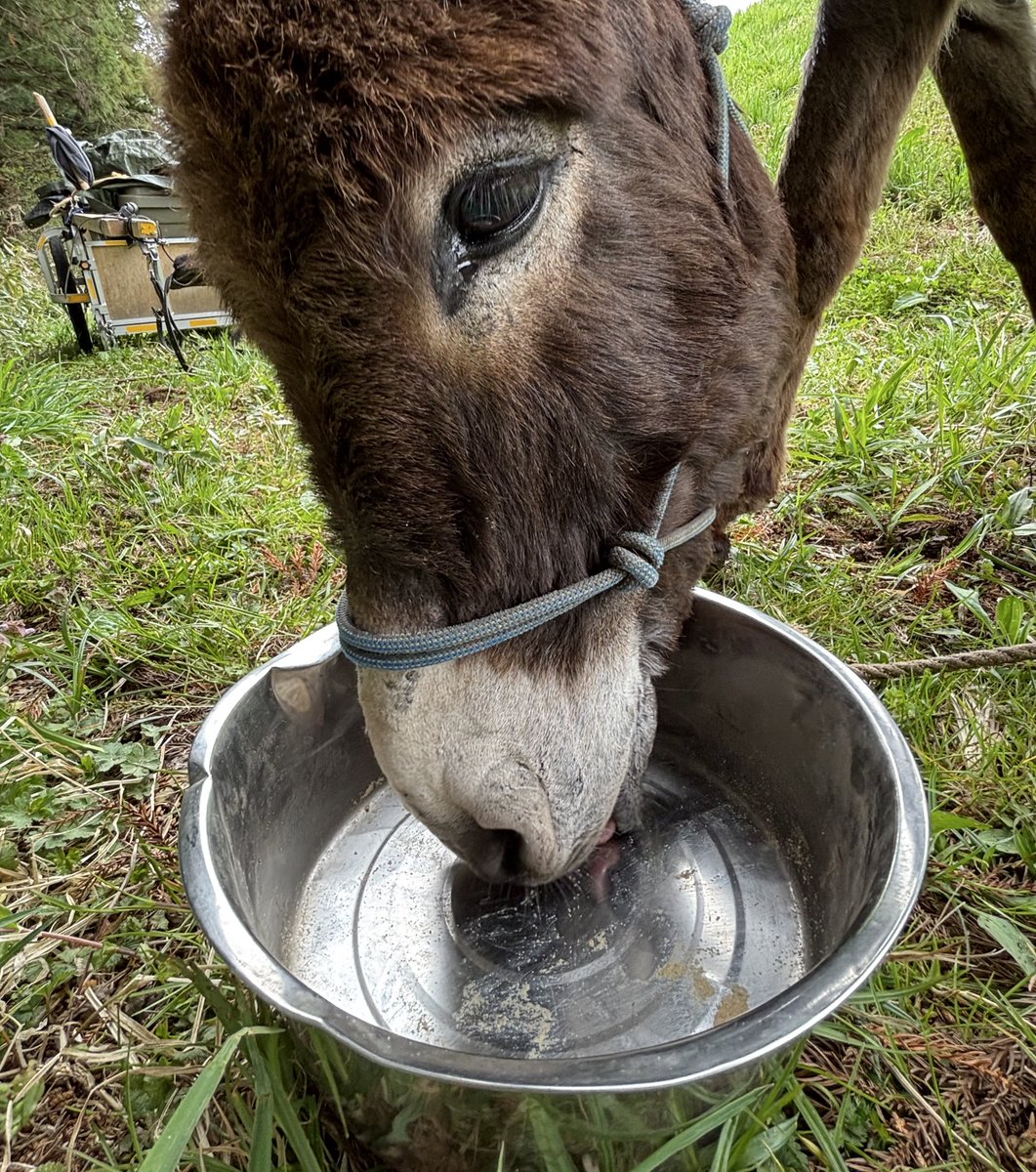 太郎丸 tweet media