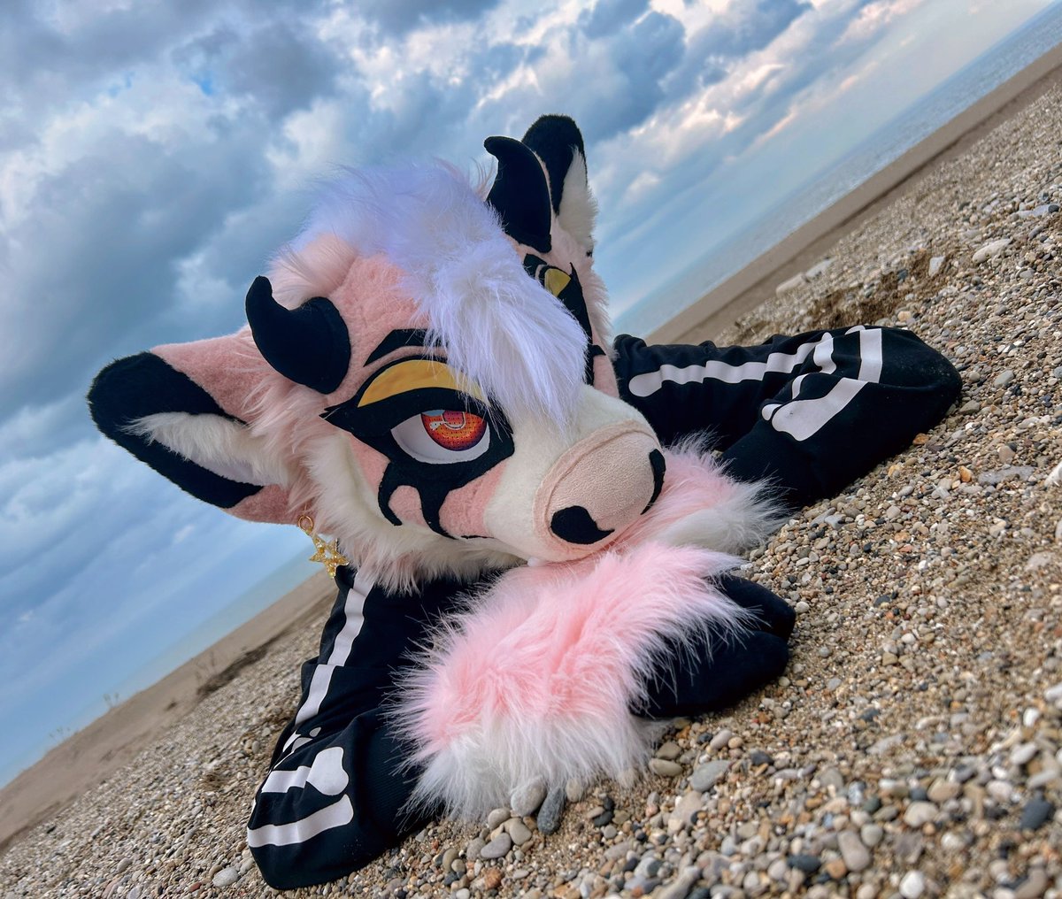 Echo, pause. tweet media