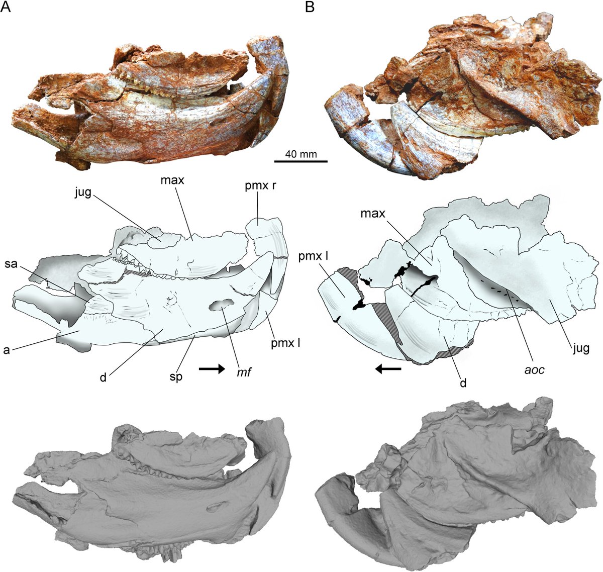 EDGE Central tweet media