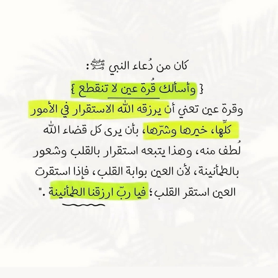 Ala0920's tweet photo. صباح اليقين بالله وقرة عين🤍🤲 https://t.co/uwywot73jk