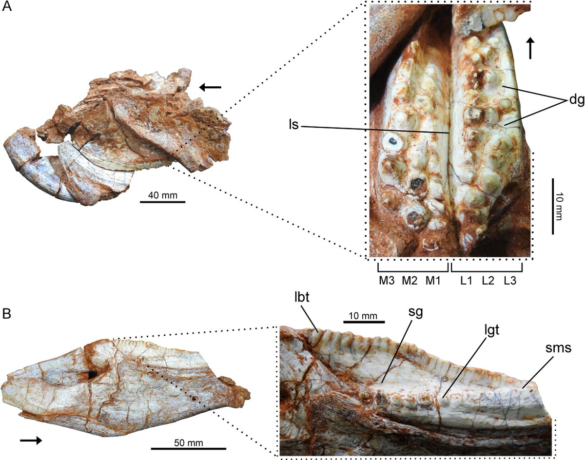 EDGE Central tweet media