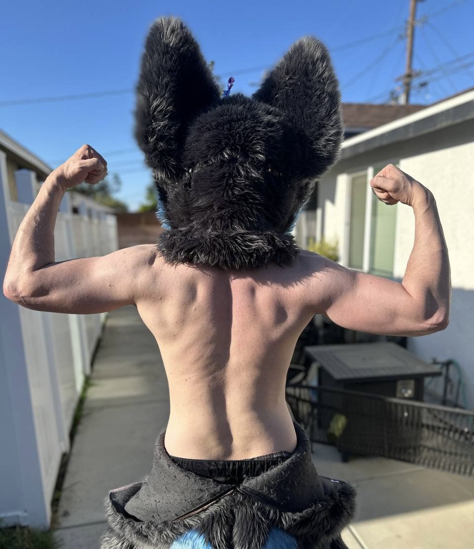 SkyeTheHoosk's tweet image. Back and Bicep Day ✅ First time even being semi happy with how my back looks. 
#furry #furries #furryfandom #furrycommunity #gymfur #FursuitEveryday #fursuit #fursuiter